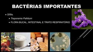 BACTÉRIAS IMPORTANTES
 Sífilis
 Treponema Pallidum
 FLORA BUCAL, INTESTINAL E TRATO RESPIRATÓRIO
 