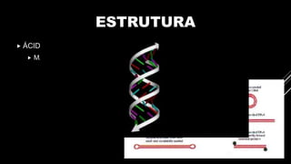 ESTRUTURA
 ÁCIDO NUCLEICO
 MATERIAL GENÉTICO DE FITA DUPLA OU SIMPLES
 