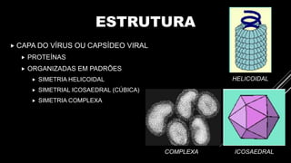 ESTRUTURA
 CAPA DO VÍRUS OU CAPSÍDEO VIRAL
 PROTEÍNAS
 ORGANIZADAS EM PADRÕES
 SIMETRIA HELICOIDAL
 SIMETRIAL ICOSAEDRAL (CÚBICA)
 SIMETRIA COMPLEXA
HELICOIDAL
ICOSAEDRALCOMPLEXA
 