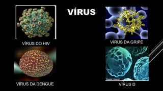 VÍRUS
VÍRUS DO HIV
VÍRUS DA DENGUE
VÍRUS DA GRIPE
VÍRUS D
 