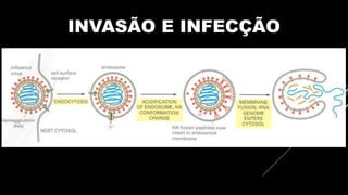 INVASÃO E INFECÇÃO
 FUSÃO DE MEMBRANA
 ENDOCITOSE
 
