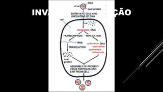 INVASÃO E INFECÇÃO
 