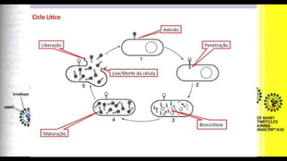 INVASÃO E INFECÇÃO
 