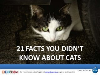 21 FACTS YOU DIDN’T
KNOW ABOUT CATS
For more information about Petplan visit www.petplan.net.nz or get social with us online.
 