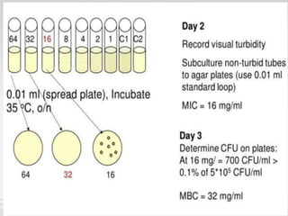 PRACTICAL antibiotic sensitivity test | PPT
