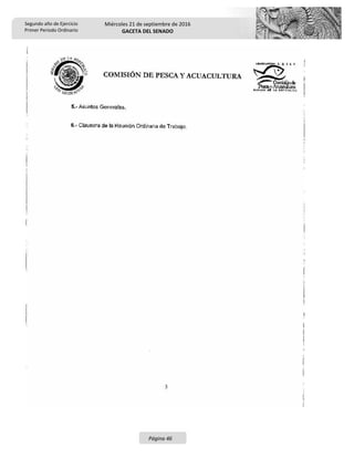 Segundo año de Ejercicio
Primer Periodo Ordinario
Miércoles 21 de septiembre de 2016
GACETA DEL SENADO
Página 46
 