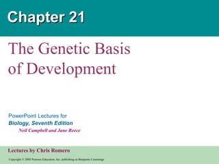 Copyright © 2005 Pearson Education, Inc. publishing as Benjamin Cummings
PowerPoint Lectures for
Biology, Seventh Edition
Neil Campbell and Jane Reece
Lectures by Chris Romero
Chapter 21
The Genetic Basis
of Development
 
