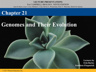 LECTURE PRESENTATIONS
For CAMPBELL BIOLOGY, NINTH EDITION
Jane B. Reece, Lisa A. Urry, Michael L. Cain, Steven A. Wasserman, Peter V. Minorsky, Robert B. Jackson
© 2011 Pearson Education, Inc.
Lectures by
Erin Barley
Kathleen Fitzpatrick
Genomes and Their Evolution
Chapter 21
 