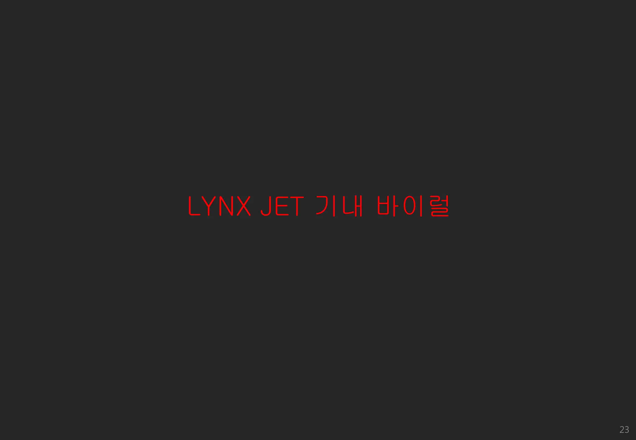 LYNX JET 기내 바이럴

23

 
