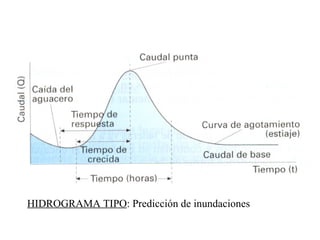 HIDROGRAMA TIPO : Predicción de inundaciones 