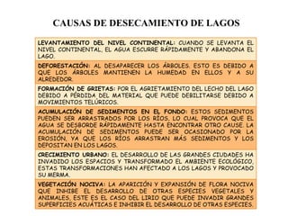 CAUSAS DE DESECAMIENTO DE LAGOS VEGETACIÓN NOCIVA:  LA APARICIÓN Y EXPANSIÓN DE FLORA NOCIVA QUE INHIBE EL DESARROLLO DE OTRAS ESPECIES VEGETALES Y ANIMALES, ESTE ES EL CASO DEL LIRIO QUE PUEDE INVADIR GRANDES SUPERFICIES ACUÁTICAS E INHIBIR EL DESARROLLO DE OTRAS ESPECIES. CRECIMIENTO URBANO:  EL DESARROLLO DE LAS GRANDES CIUDADES HA INVADIDO LOS ESPACIOS Y TRANSFORMADO EL AMBIENTE ECOLÓGICO, ESTAS TRANSFORMACIONES HAN AFECTADO A LOS LAGOS Y PROVOCADO SU MERMA. ACUMULACIÓN DE SEDIMENTOS EN EL FONDO:  ESTOS SEDIMENTOS PUEDEN SER ARRASTRADOS POR LOS RÍOS, LO CUAL PROVOCA QUE EL AGUA SE DESBORDE RÁPIDAMENTE HASTA ENCONTRAR OTRO CAUSE. LA ACUMULACIÓN DE SEDIMENTOS PUEDE SER OCASIONADO POR LA EROSIÓN, YA QUE LOS RÍOS ARRASTRAN MÁS SEDIMENTOS Y LOS DEPOSITAN EN LOS LAGOS. FORMACIÓN DE GRIETAS:  POR EL AGRIETAMIENTO DEL LECHO DEL LAGO DEBIDO A PÉRDIDA DEL MATERIAL QUE PUEDE DEBILITARSE DEBIDO A MOVIMIENTOS TELÚRICOS. DEFORESTACIÓN:  AL DESAPARECER LOS ÁRBOLES. ESTO ES DEBIDO A QUE LOS ÁRBOLES MANTIENEN LA HUMEDAD EN ELLOS Y A SU ALREDEDOR. LEVANTAMIENTO DEL NIVEL CONTINENTAL:  CUANDO SE LEVANTA EL NIVEL CONTINENTAL, EL AGUA ESCURRE RÁPIDAMENTE Y ABANDONA EL LAGO. 
