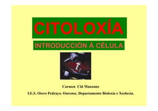 CITOLOXÍA
    INTRODUCCIÓN Á CÉLULA




                    Carmen Cid Manzano
I.E.S. Otero Pedrayo. Ourense. Departamento Bioloxía e Xeoloxía.
 
