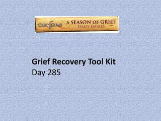 Grief Recovery Tool KitDay 285 