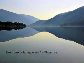 Koks įprotis žalingiausias? – Plepumas.

 