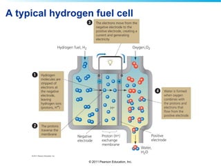 © 2011 Pearson Education, Inc.
A typical hydrogen fuel cell
 
