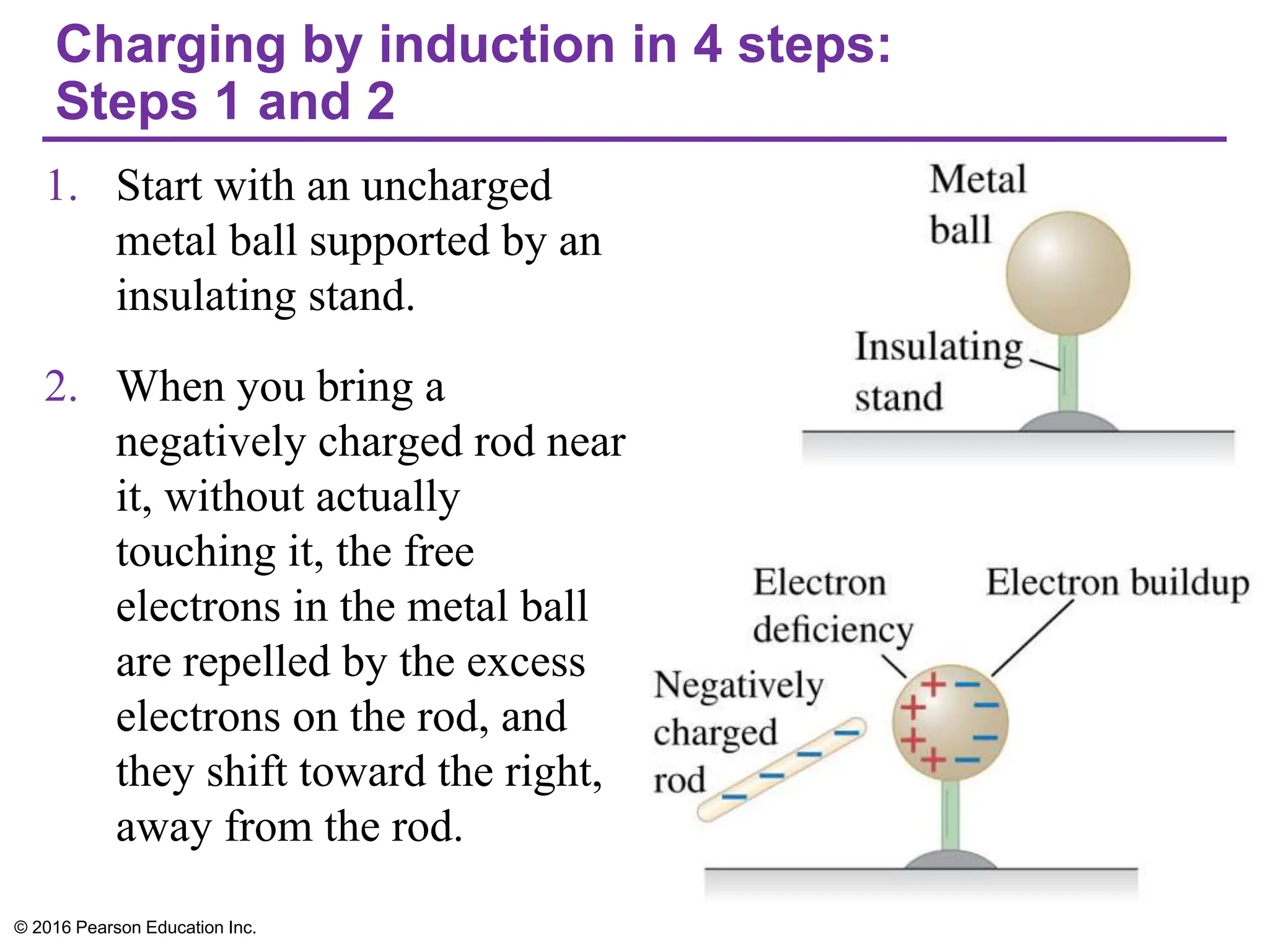 Charging by induction in 4 steps:
Steps 1 and 2
1. Start with an uncharged
metal ball supported by an
insulating stand.
2. When you bring a
negatively charged rod near
it, without actually
touching it, the free
electrons in the metal ball
are repelled by the excess
electrons on the rod, and
they shift toward the right,
away from the rod.
© 2016 Pearson Education Inc.
 