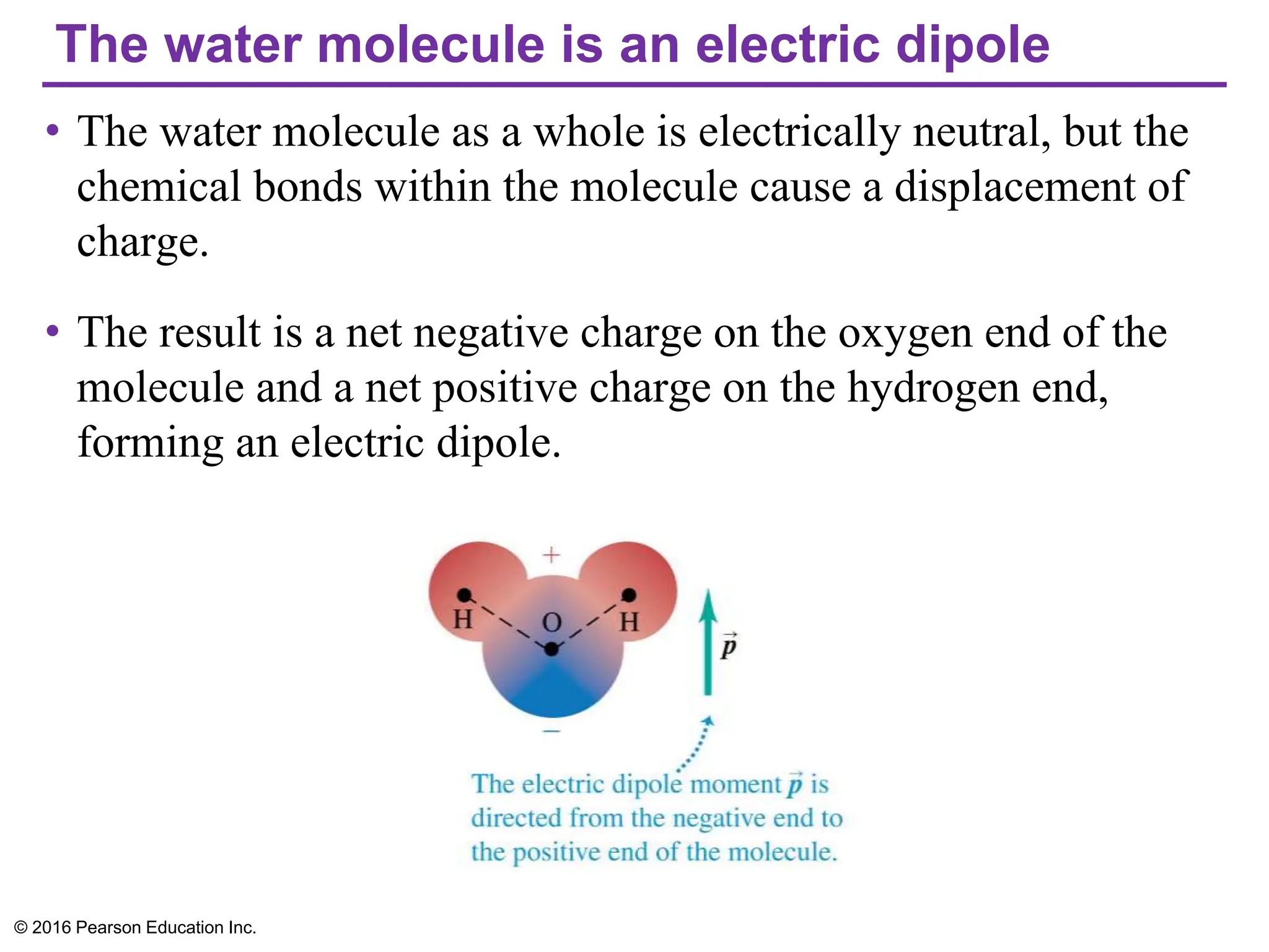 The water molecule is an electric dipole
• The water molecule as a whole is electrically neutral, but the
chemical bonds within the molecule cause a displacement of
charge.
• The result is a net negative charge on the oxygen end of the
molecule and a net positive charge on the hydrogen end,
forming an electric dipole.
© 2016 Pearson Education Inc.
 