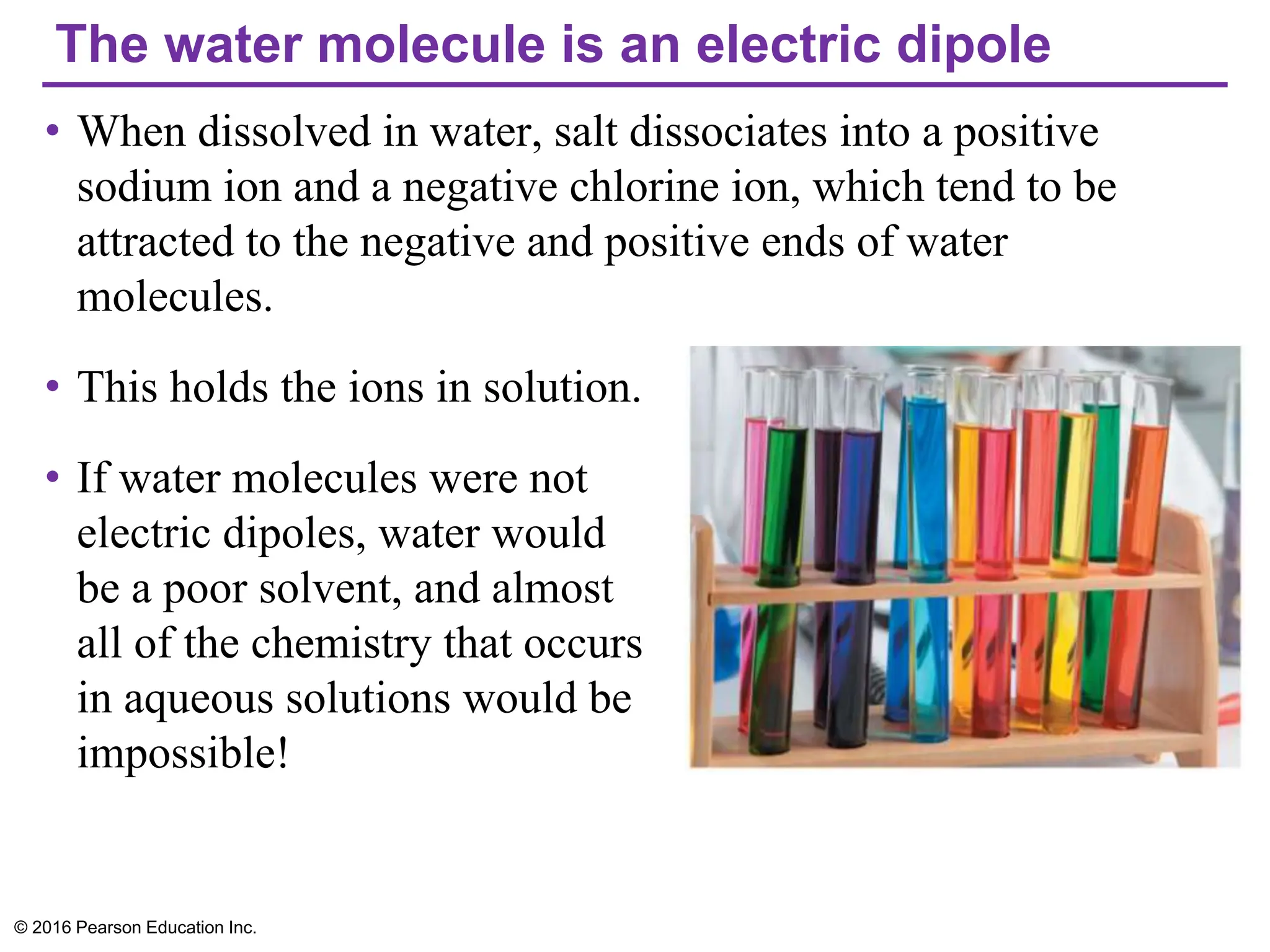 The water molecule is an electric dipole
• When dissolved in water, salt dissociates into a positive
sodium ion and a negative chlorine ion, which tend to be
attracted to the negative and positive ends of water
molecules.
• This holds the ions in solution.
• If water molecules were not
electric dipoles, water would
be a poor solvent, and almost
all of the chemistry that occurs
in aqueous solutions would be
impossible!
© 2016 Pearson Education Inc.
 