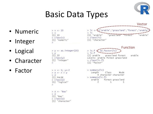 Essentials of R