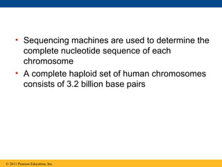 • Sequencing machines are used to determine the
complete nucleotide sequence of each
chromosome
• A complete haploid set of human chromosomes
consists of 3.2 billion base pairs
© 2011 Pearson Education, Inc.
 
