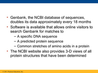 • Genbank, the NCBI database of sequences,
doubles its data approximately every 18 months
• Software is available that allows online visitors to
search Genbank for matches to
– A specific DNA sequence
– A predicted protein sequence
– Common stretches of amino acids in a protein
• The NCBI website also provides 3-D views of all
protein structures that have been determined
© 2011 Pearson Education, Inc.
 