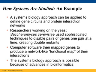 How Systems Are Studied: An Example
• A systems biology approach can be applied to
define gene circuits and protein interaction
networks
• Researchers working on the yeast
Saccharomyces cerevisiae used sophisticated
techniques to disable pairs of genes one pair at a
time, creating double mutants
• Computer software then mapped genes to
produce a network-like “functional map” of their
interactions
• The systems biology approach is possible
because of advances in bioinformatics
© 2011 Pearson Education, Inc.
 