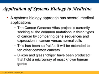 Application of Systems Biology to Medicine
• A systems biology approach has several medical
applications
– The Cancer Genome Atlas project is currently
seeking all the common mutations in three types
of cancer by comparing gene sequences and
expression in cancer versus normal cells
– This has been so fruitful, it will be extended to
ten other common cancers
– Silicon and glass “chips” have been produced
that hold a microarray of most known human
genes
© 2011 Pearson Education, Inc.
 