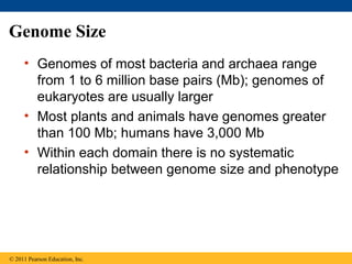 Genome Size
• Genomes of most bacteria and archaea range
from 1 to 6 million base pairs (Mb); genomes of
eukaryotes are usually larger
• Most plants and animals have genomes greater
than 100 Mb; humans have 3,000 Mb
• Within each domain there is no systematic
relationship between genome size and phenotype
© 2011 Pearson Education, Inc.
 
