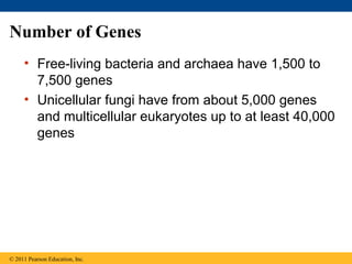 Number of Genes
• Free-living bacteria and archaea have 1,500 to
7,500 genes
• Unicellular fungi have from about 5,000 genes
and multicellular eukaryotes up to at least 40,000
genes
© 2011 Pearson Education, Inc.
 