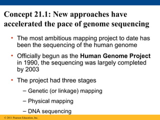 Concept 21.1: New approaches have
accelerated the pace of genome sequencing
• The most ambitious mapping project to date has
been the sequencing of the human genome
• Officially begun as the Human Genome Project
in 1990, the sequencing was largely completed
by 2003
• The project had three stages
– Genetic (or linkage) mapping
– Physical mapping
– DNA sequencing
© 2011 Pearson Education, Inc.
 