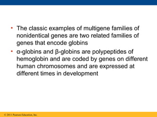 • The classic examples of multigene families of
nonidentical genes are two related families of
genes that encode globins
• α-globins and β-globins are polypeptides of
hemoglobin and are coded by genes on different
human chromosomes and are expressed at
different times in development
© 2011 Pearson Education, Inc.
 