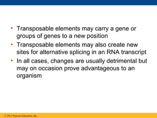 • Transposable elements may carry a gene or
groups of genes to a new position
• Transposable elements may also create new
sites for alternative splicing in an RNA transcript
• In all cases, changes are usually detrimental but
may on occasion prove advantageous to an
organism
© 2011 Pearson Education, Inc.
 