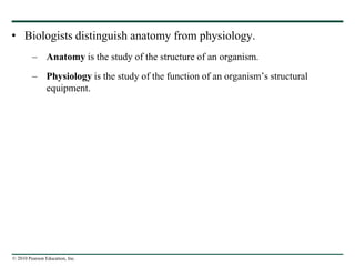 © 2010 Pearson Education, Inc.
• Biologists distinguish anatomy from physiology.
– Anatomy is the study of the structure of an organism.
– Physiology is the study of the function of an organism’s structural
equipment.
 