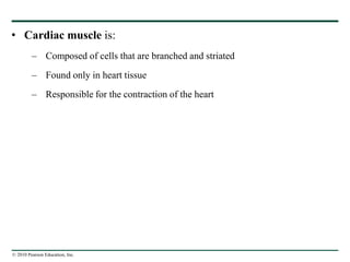 © 2010 Pearson Education, Inc.
• Cardiac muscle is:
– Composed of cells that are branched and striated
– Found only in heart tissue
– Responsible for the contraction of the heart
 