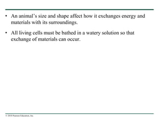 © 2010 Pearson Education, Inc.
• An animal’s size and shape affect how it exchanges energy and
materials with its surroundings.
• All living cells must be bathed in a watery solution so that
exchange of materials can occur.
 