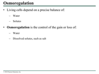 © 2010 Pearson Education, Inc.
Osmoregulation
• Living cells depend on a precise balance of:
– Water
– Solutes
• Osmoregulation is the control of the gain or loss of:
– Water
– Dissolved solutes, such as salt
 