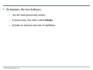 © 2010 Pearson Education, Inc.
• In humans, the two kidneys:
– Are the main processing centers
– Contain many fine tubes called tubules
– Include an intricate network of capillaries
 