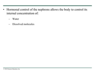 © 2010 Pearson Education, Inc.
• Hormonal control of the nephrons allows the body to control its
internal concentration of:
– Water
– Dissolved molecules
 