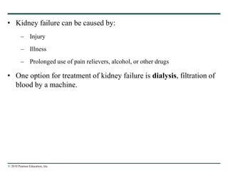 © 2010 Pearson Education, Inc.
• Kidney failure can be caused by:
– Injury
– Illness
– Prolonged use of pain relievers, alcohol, or other drugs
• One option for treatment of kidney failure is dialysis, filtration of
blood by a machine.
 
