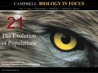 CAMPBELL BIOLOGY IN FOCUS
© 2014 Pearson Education, Inc.
Urry • Cain • Wasserman • Minorsky • Jackson • Reece
Lecture Presentations by
Kathleen Fitzpatrick and Nicole Tunbridge
21
The Evolution
of Populations
 