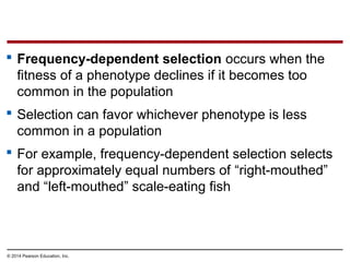 © 2014 Pearson Education, Inc.
 Frequency-dependent selection occurs when the
fitness of a phenotype declines if it becomes too
common in the population
 Selection can favor whichever phenotype is less
common in a population
 For example, frequency-dependent selection selects
for approximately equal numbers of “right-mouthed”
and “left-mouthed” scale-eating fish
 