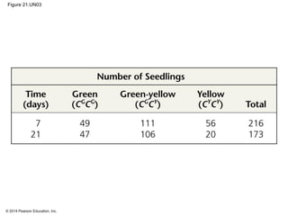 © 2014 Pearson Education, Inc.
Figure 21.UN03
 