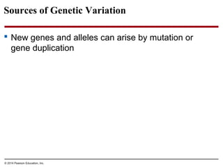 © 2014 Pearson Education, Inc.
Sources of Genetic Variation
 New genes and alleles can arise by mutation or
gene duplication
 