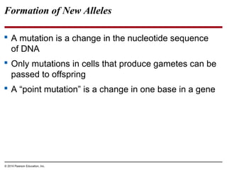 © 2014 Pearson Education, Inc.
Formation of New Alleles
 A mutation is a change in the nucleotide sequence
of DNA
 Only mutations in cells that produce gametes can be
passed to offspring
 A “point mutation” is a change in one base in a gene
 