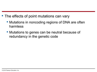 © 2014 Pearson Education, Inc.
 The effects of point mutations can vary
 Mutations in noncoding regions of DNA are often
harmless
 Mutations to genes can be neutral because of
redundancy in the genetic code
 