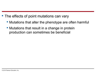 © 2014 Pearson Education, Inc.
 The effects of point mutations can vary
 Mutations that alter the phenotype are often harmful
 Mutations that result in a change in protein
production can sometimes be beneficial
 