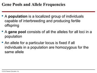© 2014 Pearson Education, Inc.
Gene Pools and Allele Frequencies
 A population is a localized group of individuals
capable of interbreeding and producing fertile
offspring
 A gene pool consists of all the alleles for all loci in a
population
 An allele for a particular locus is fixed if all
individuals in a population are homozygous for the
same allele
 