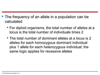 © 2014 Pearson Education, Inc.
 The frequency of an allele in a population can be
calculated
 For diploid organisms, the total number of alleles at a
locus is the total number of individuals times 2
 The total number of dominant alleles at a locus is 2
alleles for each homozygous dominant individual
plus 1 allele for each heterozygous individual; the
same logic applies for recessive alleles
 
