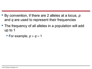 © 2014 Pearson Education, Inc.
 By convention, if there are 2 alleles at a locus, p
and q are used to represent their frequencies
 The frequency of all alleles in a population will add
up to 1
 For example, p + q = 1
 