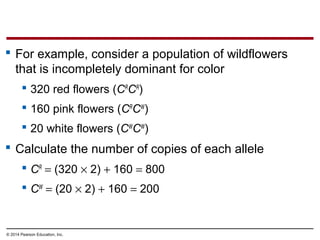 © 2014 Pearson Education, Inc.
 For example, consider a population of wildflowers
that is incompletely dominant for color
 320 red flowers (CR
CR
)
 160 pink flowers (CR
CW
)
 20 white flowers (CW
CW
)
 Calculate the number of copies of each allele
 CR
= (320 × 2) + 160 = 800
 CW
= (20 × 2) + 160 = 200
 